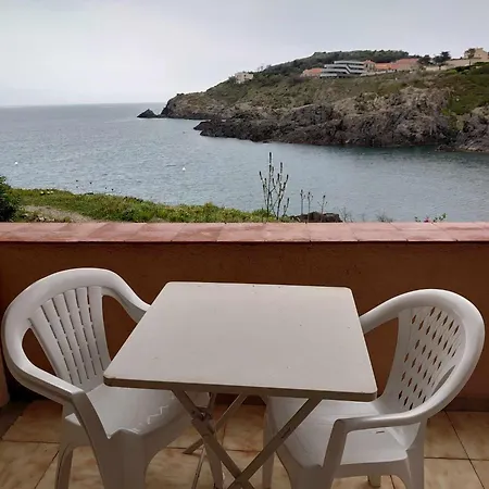 Apartment 2rb38a Vue Sur Et Proche Collioure